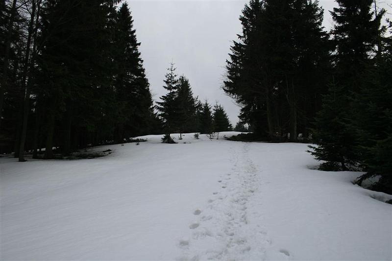 Wiosna w Beskidach 335.jpg